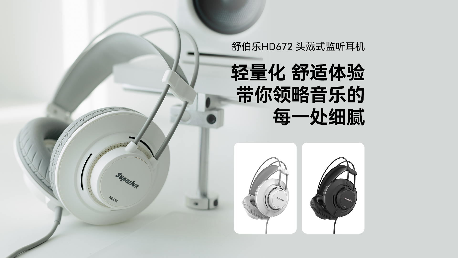 year of the loong limited
